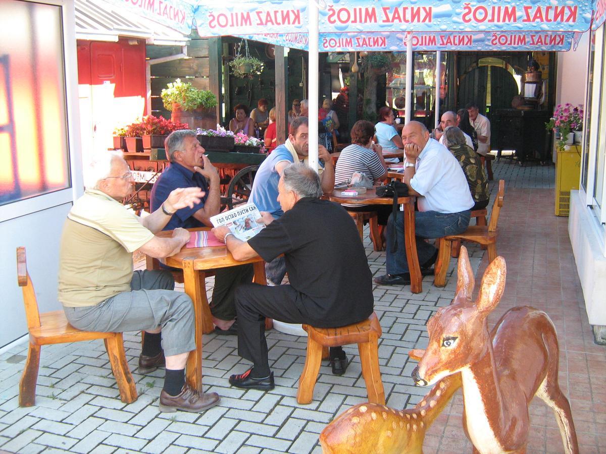 Sobe Za Izdavanje Blef Ovcar Banja Bagian luar foto